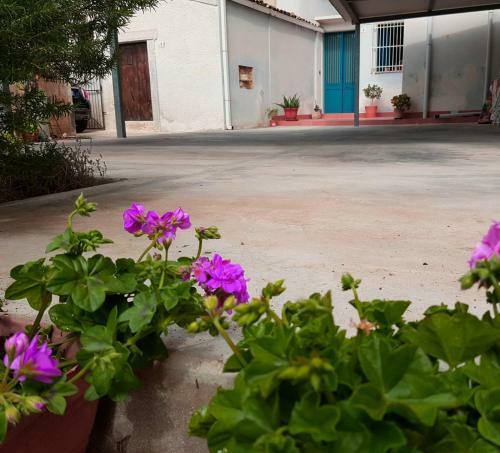 Apartamento Il Giardino Del Corso