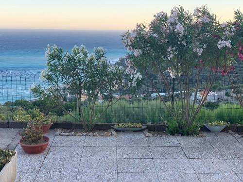 Apartamento Carpe Diem