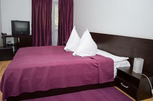 Hostal Pensiunea Arxavia