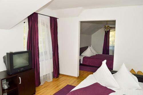 Hostal Pensiunea Arxavia