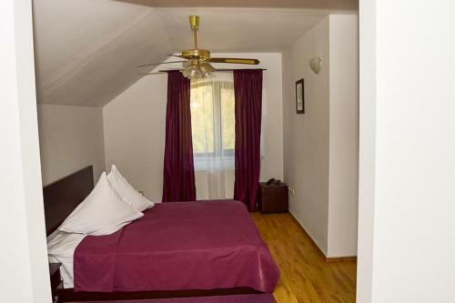 Hostal Pensiunea Arxavia