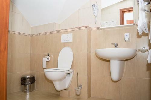 Hostal Pensiunea Arxavia