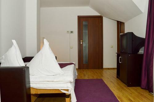 Hostal Pensiunea Arxavia