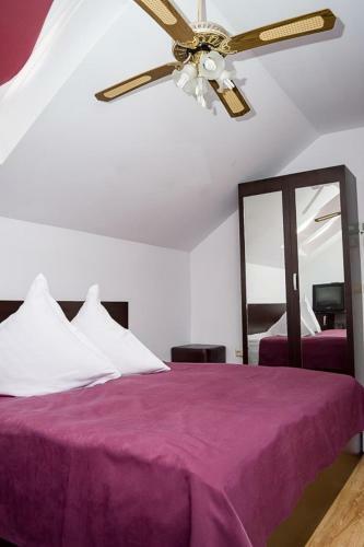 Hostal Pensiunea Arxavia
