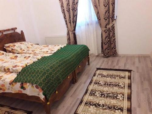 Hostal Pensiunea Elena