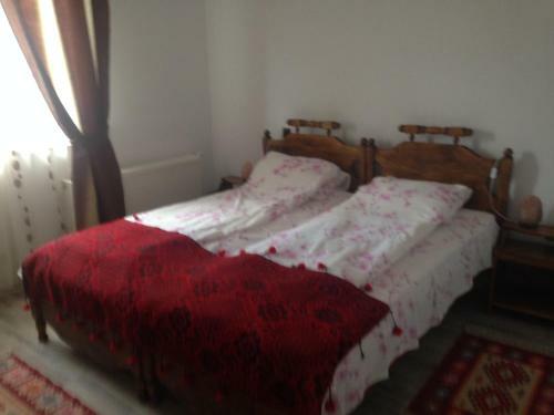 Hostal Pensiunea Elena