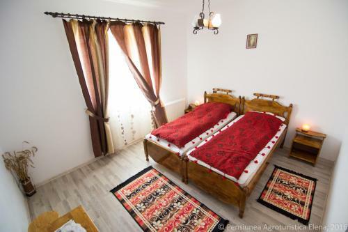 Hostal Pensiunea Elena