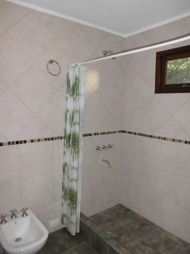 Apartamento Pineta 4 Y 7