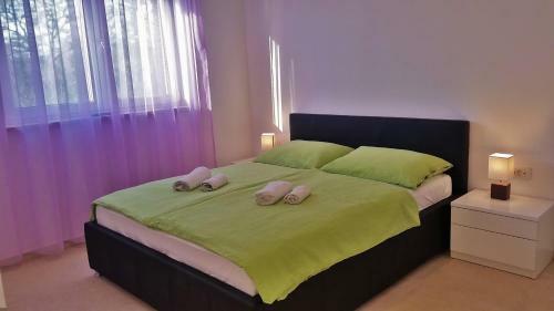 Apartment Villa Vala