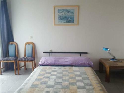 Oleander Apartment In Pako?tane
