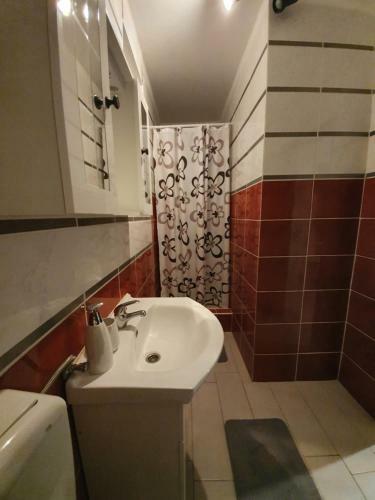 Oleander Apartment In Pako?tane
