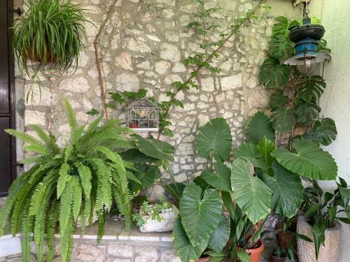 Holiday House Belavista