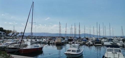 Holiday House Belavista