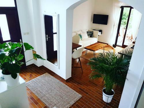 Salt & Stone Villa