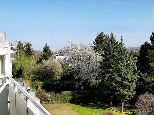 Apartamento Haus Apricum