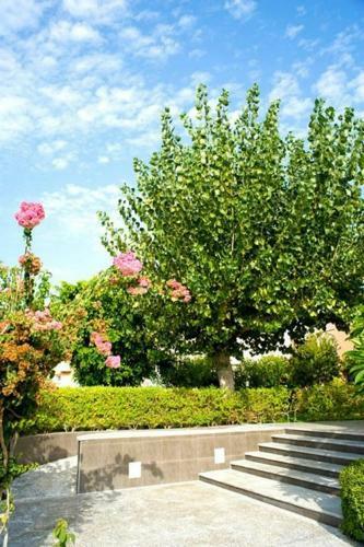 Aparthotel Alfa Hotel Apartments