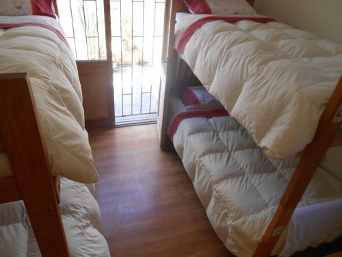 El Arbol Hostel