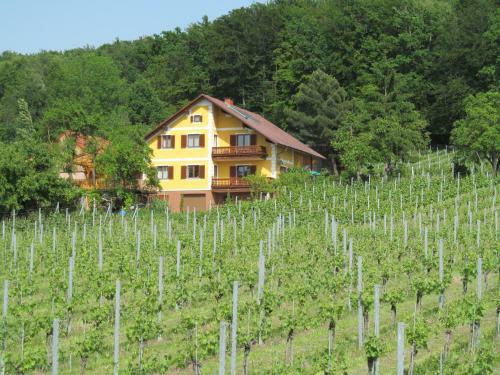 Apartamento Appartement Weingut Schoberhof