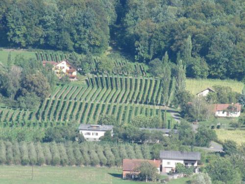 Apartamento Appartement Weingut Schoberhof