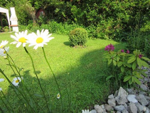 Apartamento Appartement-heuberg