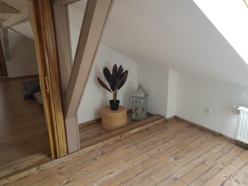 Hostal Willa Blanca
