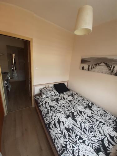 Apartamento Abrahama Studio 13