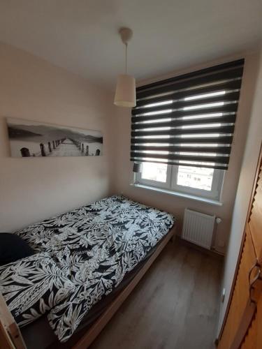 Apartamento Abrahama Studio 13