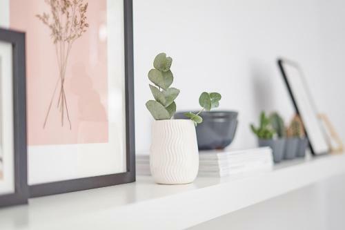 Apartamento Komfortowo Plus