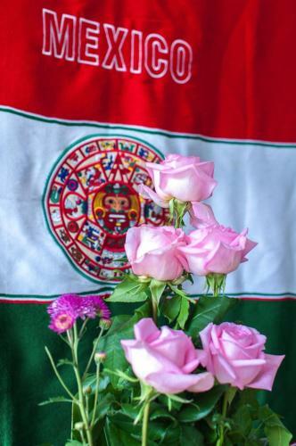 Apartamento Aldea Zama Cave Mexico 1