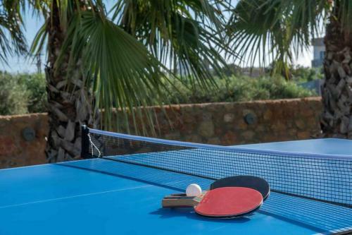 Opsis Regen Luxury Villa With Swimming Pool