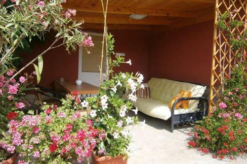 Papp Apartmanh�z