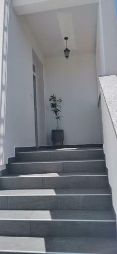 Apartments Angeline