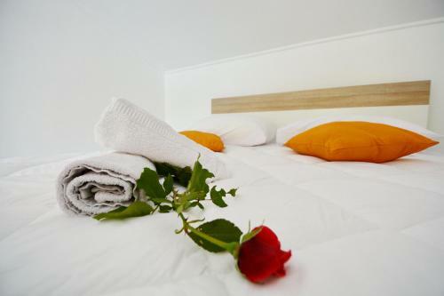 Apartmani Ma?a