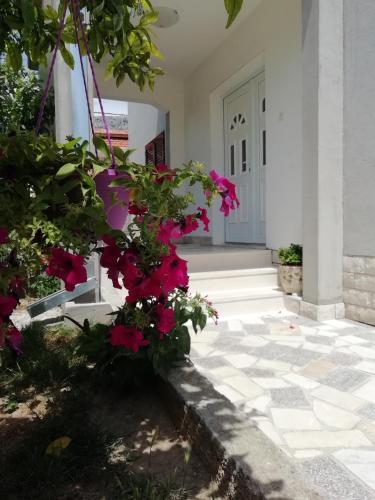 Apartamentos Lucija 2