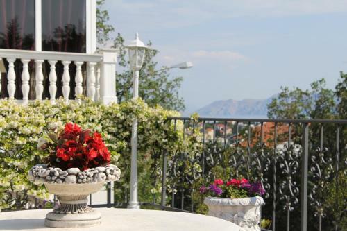 Bed & Breakfast Villa Knezina