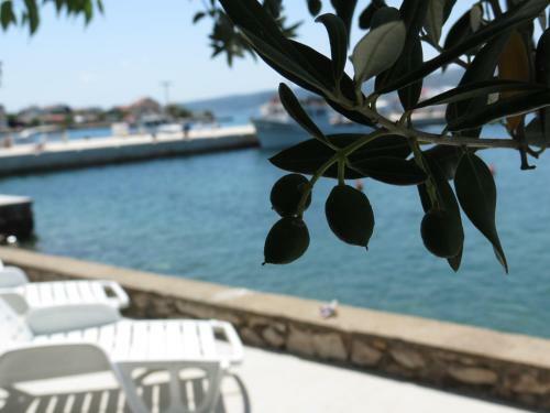 Bed & Breakfast Delfin