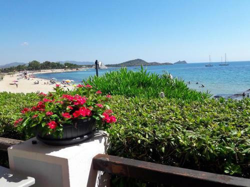 Apartamento Invit Arti B&B