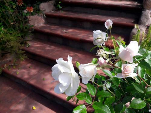 Apartamento Invit Arti B&B
