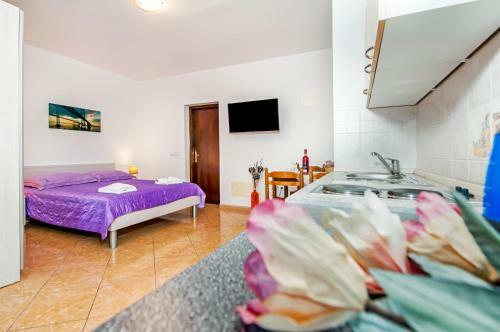 Apartments Ana