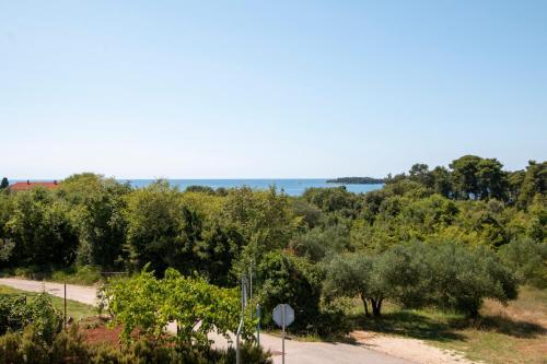 Apartamento Irena's Place A2