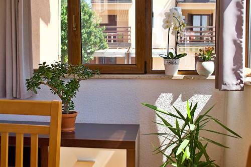 Kanegra Mira Apartment