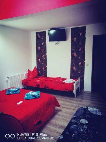 Hostal Casa Iris Murighiol