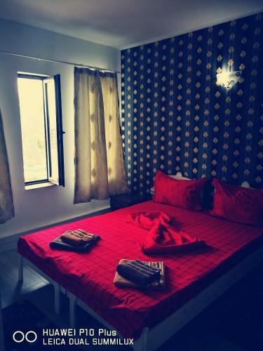 Hostal Casa Iris Murighiol