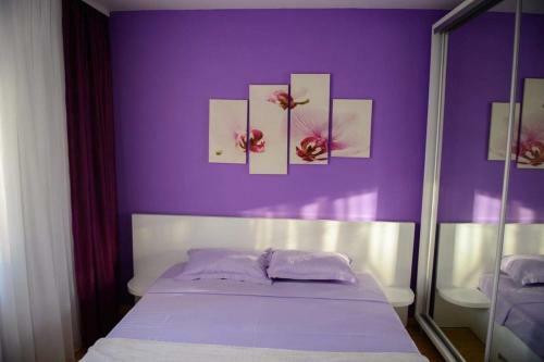Apartament11 Navodari