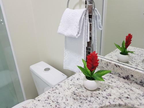 Apartamento Apto Moderno E Aconchegante A 2 Min Do Centro