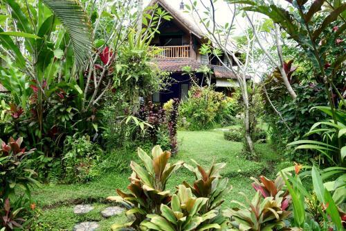 Bed & Breakfast Bali Firefly Bnb