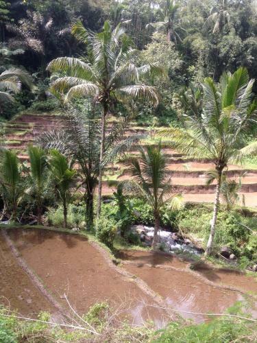 Bed & Breakfast Bali Firefly Bnb