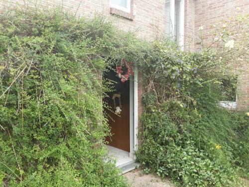 Bed & Breakfast Au Rayon De Soleil
