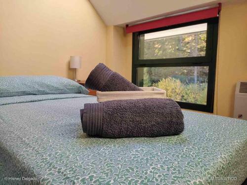 Apartamento Abeto Rojo - Inmopremium Turistico