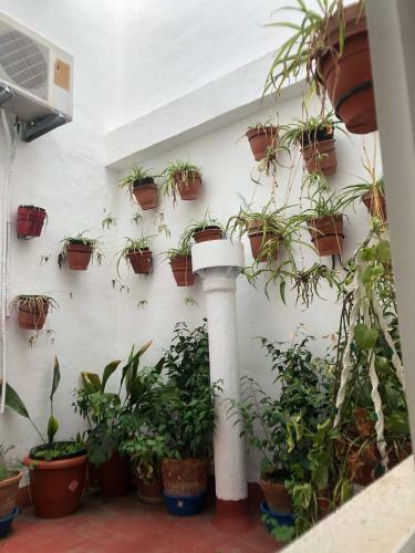 Hotel Hostal Costa Sol